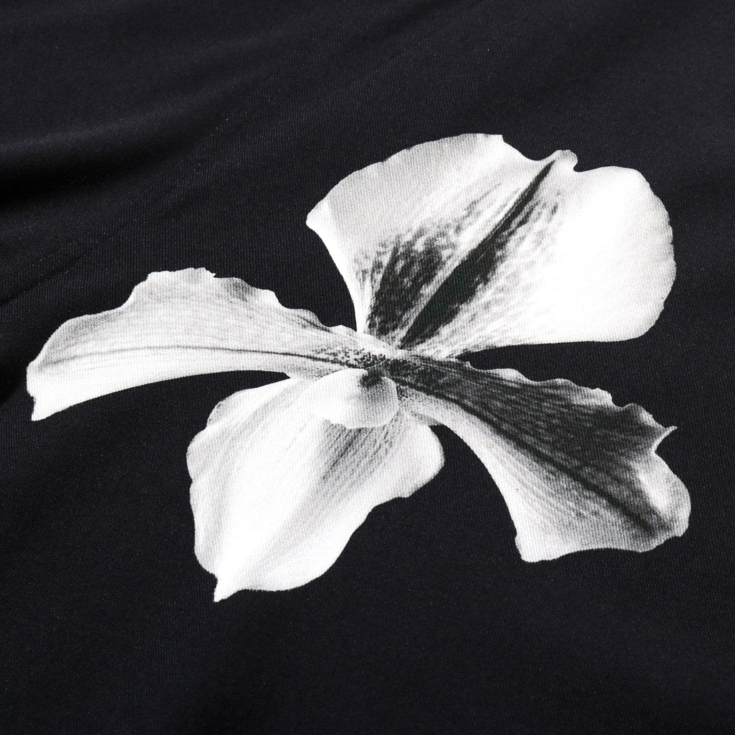 HONEY FUCKING DIJON MAPPLETHORPE SHIRT BLACK