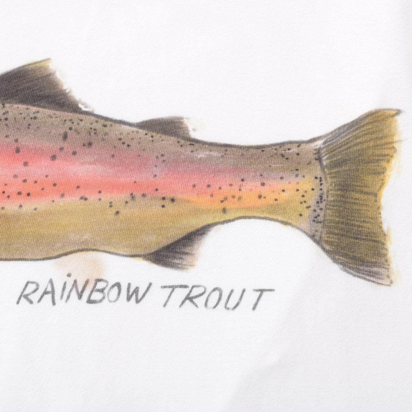 KAPITAL JERSEY CREW T ONE TROUT PECKISH RAINBOWY WHITE